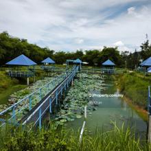Agriculture Land in Broga Semenyih Hulu Langat For Sale Selangor