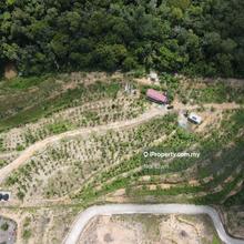 10 acres Seremban 2 with Durian Trees