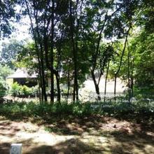 Bungalow land for Sale