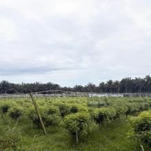 Kulai sengkang agriculture land for sale