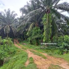 Agricultural Paradise Awaits: 63 Acres of Opportunity in Ulu Sawah!