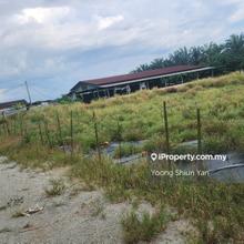 Land for Sale @ Parit Melana, Alor Gajah, Melaka