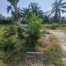 Banting Agricultural Land for sale