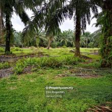 Industrial land for Sale