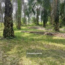 Agriculture land for Sale
