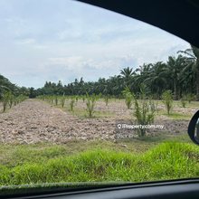 Flat land Tar Road very near to main road 