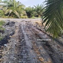 Jalan Parit Panjang, Mukim Ayer Baloi, Pontian