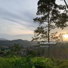 Durian land with young and nature trees,near titi and town