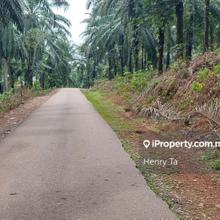 Dengkil Agriculture Land For Sale