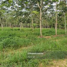Bekok segamat rubber land for sale
