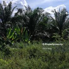 Agriculture land for Sale