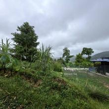 10 Acres Freehold Hilly Durian Farm Facing Mainroad Penjuring Bentong