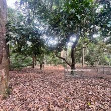 For Sale: Tanah Pertanian  @ Kg Paya Atas, Alor Gajah, Melaka