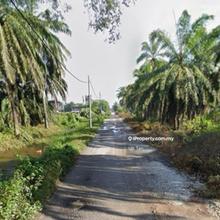 Batu 4, Ijok Agriculture Land for Sale, Taman Industri Bukit Badong