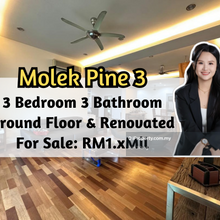 Luxury Condo Molek Pine 3, Ground Floor, Fully Renovated, 3 Bedroom