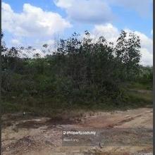 Agricultural Land For Sale