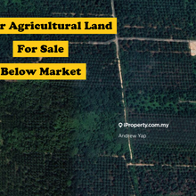 Klang Kapar Corner Facing Mainroad Agricultural Land For Sale  