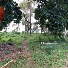 Durian Land, Mantin Town