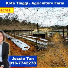 Kota tinggi agriculture land for sale