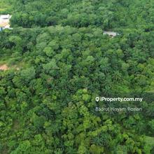 Freehold 1 acre Residential Land Desa Pinggiran Putra
