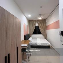 One Equine Co Living Room For Rent