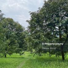 Durian Orchard for sale