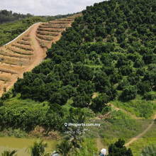 Kuala Pilah Agricultural land for sale 