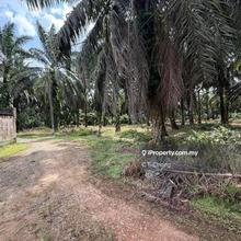 Desa Cemerlang Land For Sale