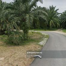Value Buy High Return Agri Land At Kapar