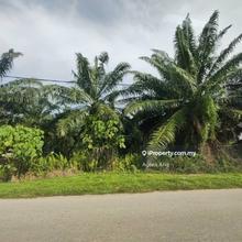 Telok zoning industrial land