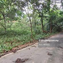 Tanah Pertanian Ada Dusun Durian di Labu Salak Tinggi Sepang 