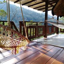 Durian farm and resort for sale