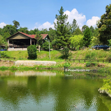 Hulu Langat Durian Eco Farm For Sale