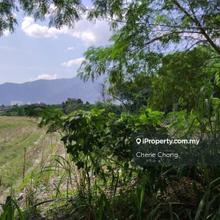 Jalan Kuala Kangsar Agricultural Land Strategic Location 