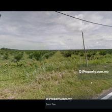 Industrial land for Sale