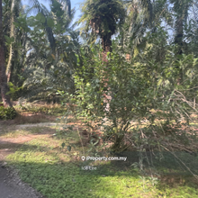 Telok Mengkuang land for sale ,Telok Panglima Garang,kuala Langat