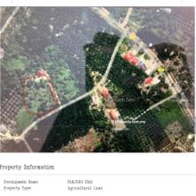 Kukup Land For Sale