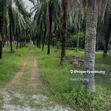 Ijok Near Speed 99, Pasar & School