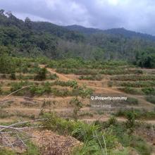 18 acres Karak (Manchis) Vacant Land For Sale