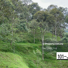 Value Buy! 25 Acres Musang King Durian Farm Bentong Bukit Tinggi Pahan