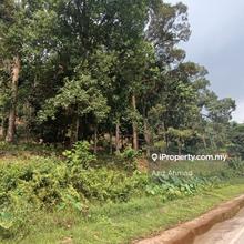 Tanah Kebun 3.9 Ekar di Batu 14 Hulu Langat