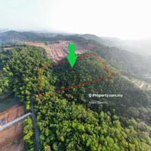 Spacious 5.69 Acres Agricultural Land Kampung Tengah, Sungai Merab