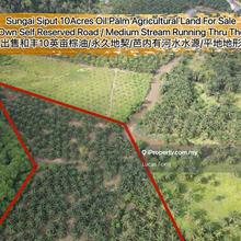 Sungai Siput Well Maintained 10 Acres Oil Palm Agricultural Land 