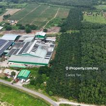 Kampung Kedundung Pokok Sena Kedah Agriculture Land Zoning Industry