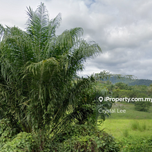 11 acres Flat agriculture land @ Broga, Freehold, nr Eco Forest