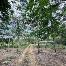 Desa Cemerlang 6 Acres Land