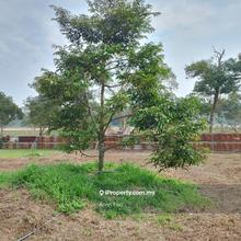 Nearby to Kg Chinta Manis