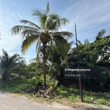 Tanah Pertanian Kelapa Sawit Kampung Ladang Batu Tanjong Sepat