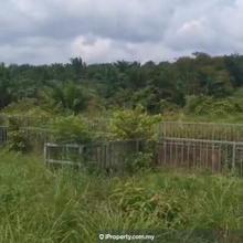 Freehold Tanjung Minyak Bukit Rambai Agriculture Land Facing Main Road