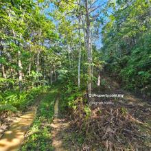 Lee Rubber Bentong, Pahang